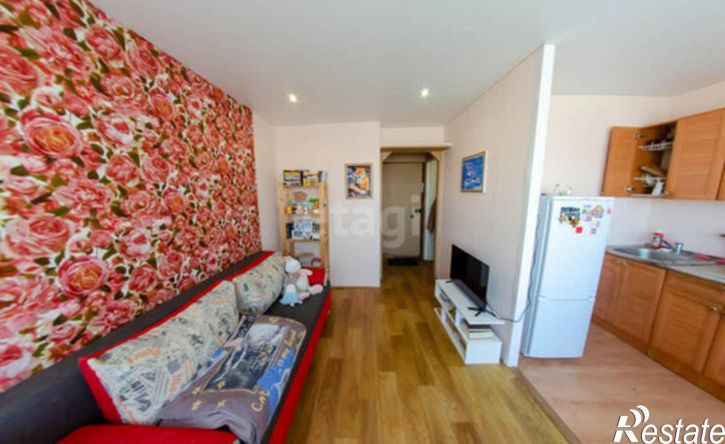 1-комн квартира ул Михайловская, 38,  д. 38